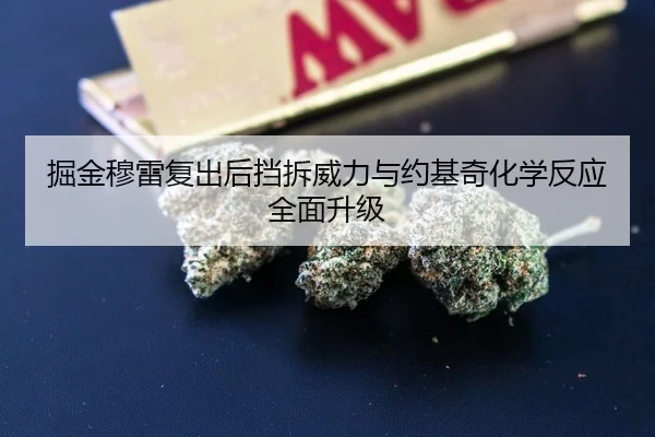 掘金穆雷复出后挡拆威力与约基奇化学反应全面升级