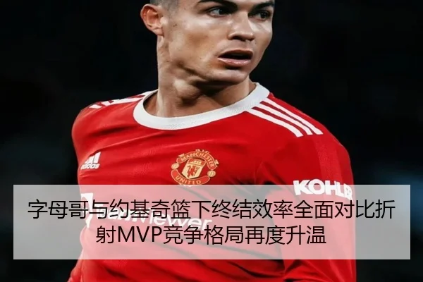 字母哥与约基奇篮下终结效率全面对比折射MVP竞争格局再度升温